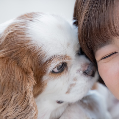 お客様のお喜びの声
