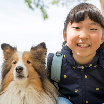 お客様のお喜びの声