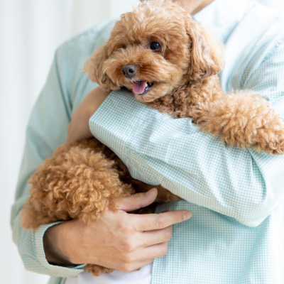 お客様のお喜びの声