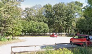 わんこイン Dog Run