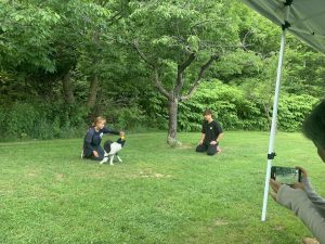 札幌ドッグスクール