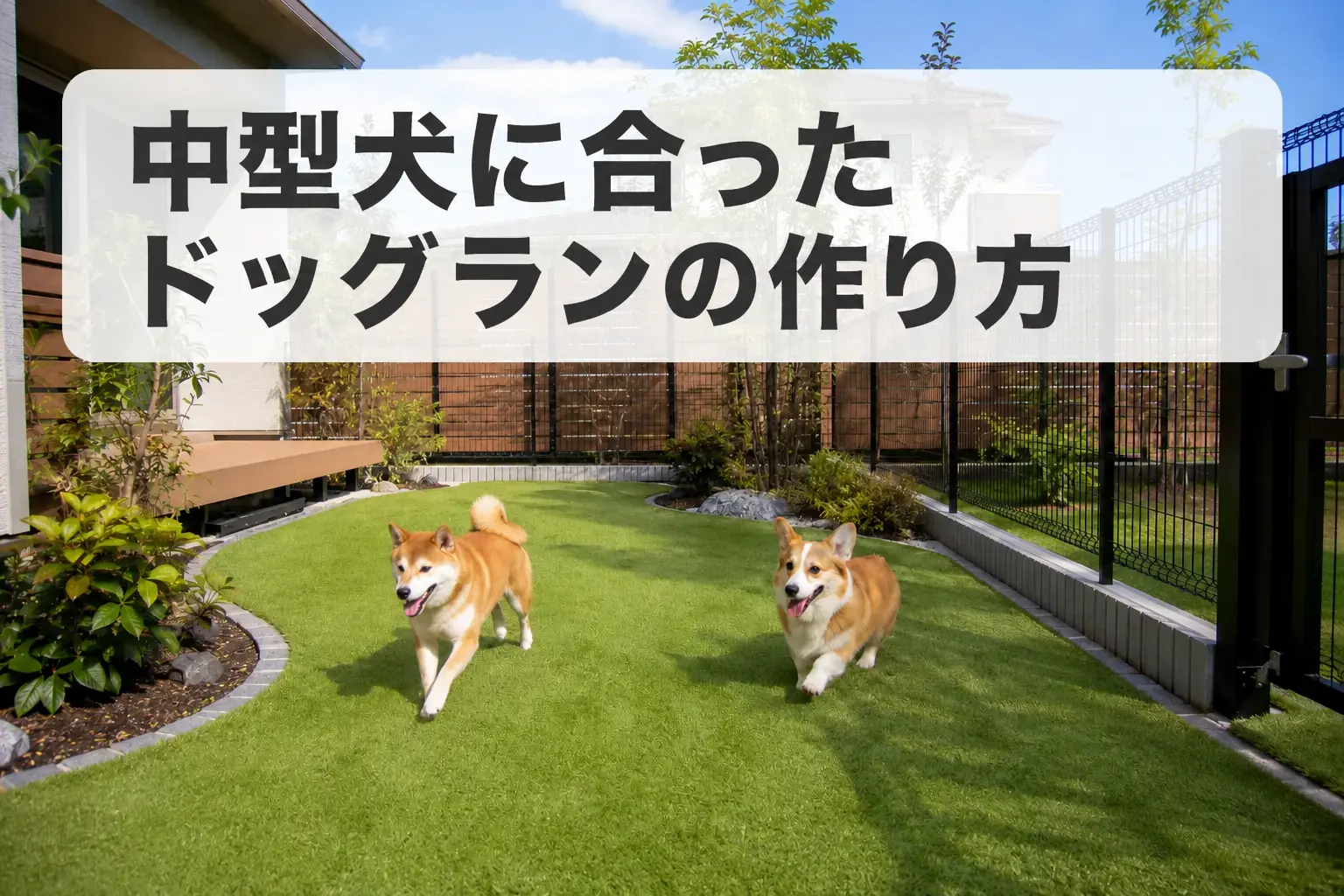 中型犬に合ったドッグランの作り方