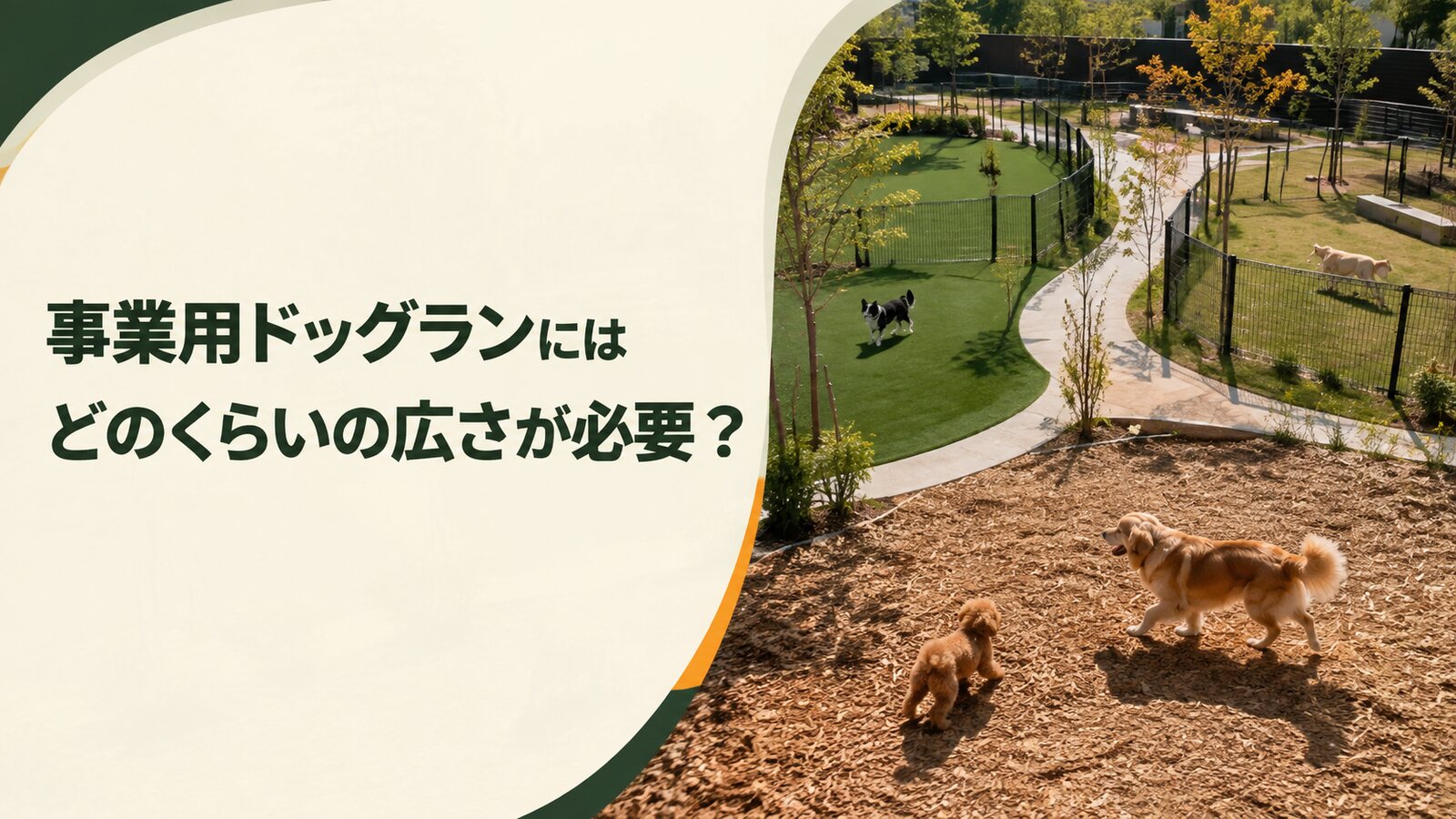 事業用ドッグランにはどのくらいの広さが必要？