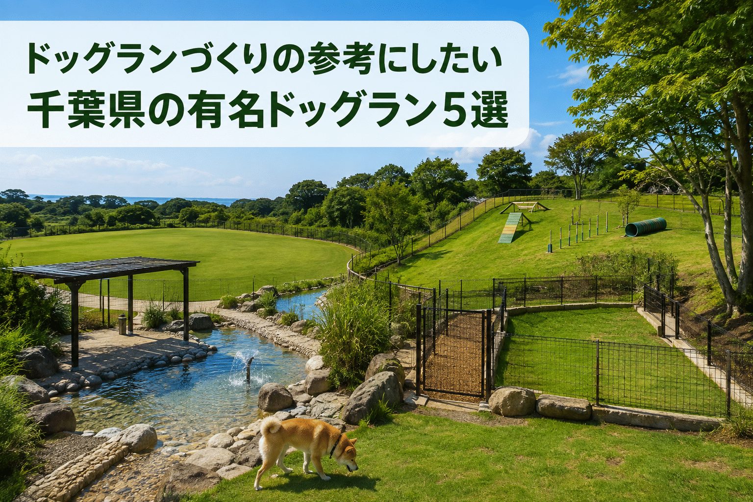 ドッグランづくりの参考にしたい千葉県の有名ドッグラン5選