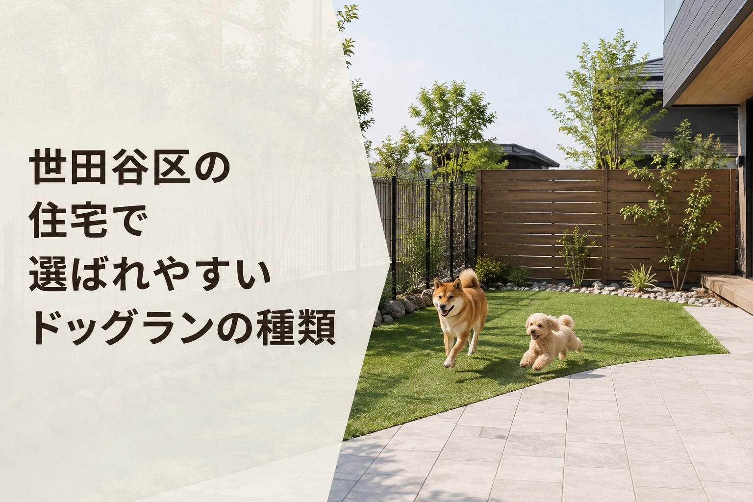 世田谷区の住宅で選ばれやすいドッグランの種類