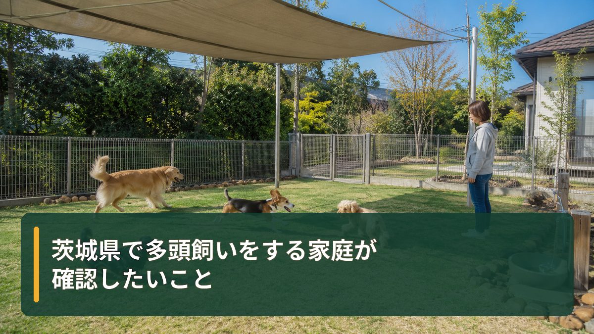 茨城県で多頭飼いをする家庭が確認したいこと
