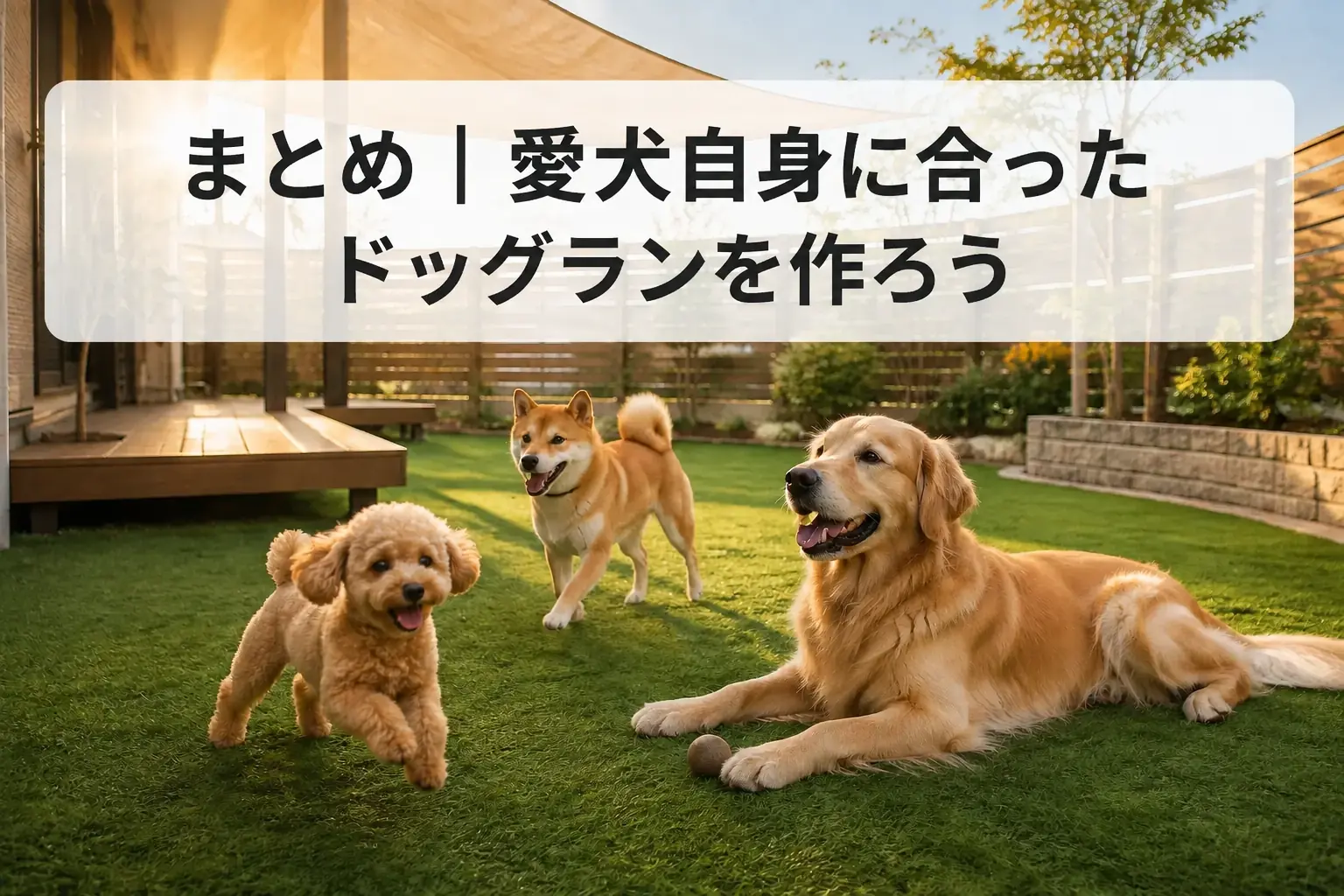 まとめ｜愛犬自身に合ったドッグランを作ろう