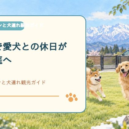 富山県で愛犬との休日が広がる庭へ｜自宅ドッグランと犬連れ観光ガイド