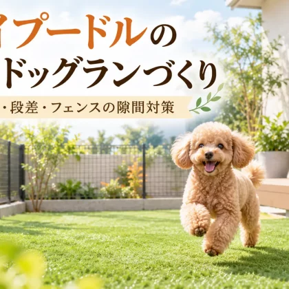 トイプードルの自宅ドッグランづくり｜床材・段差・フェンスの隙間対策