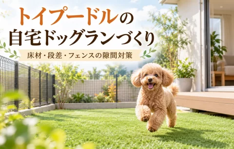 トイプードルの自宅ドッグランづくり｜床材・段差・フェンスの隙間対策