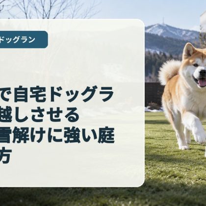 仙台市で自宅ドッグランを冬越しさせる｜凍結・雪解けに強い庭の作り方
