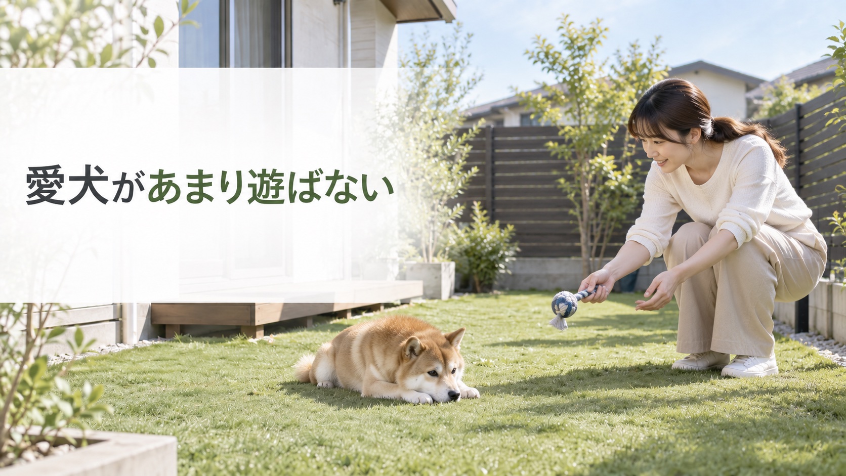 【失敗1】せっかく作ったのに愛犬があまり遊ばない