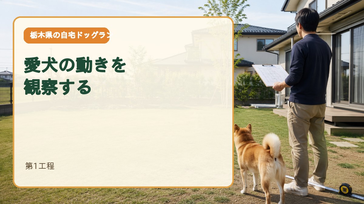 第1工程｜愛犬が庭でどう動くか観察する