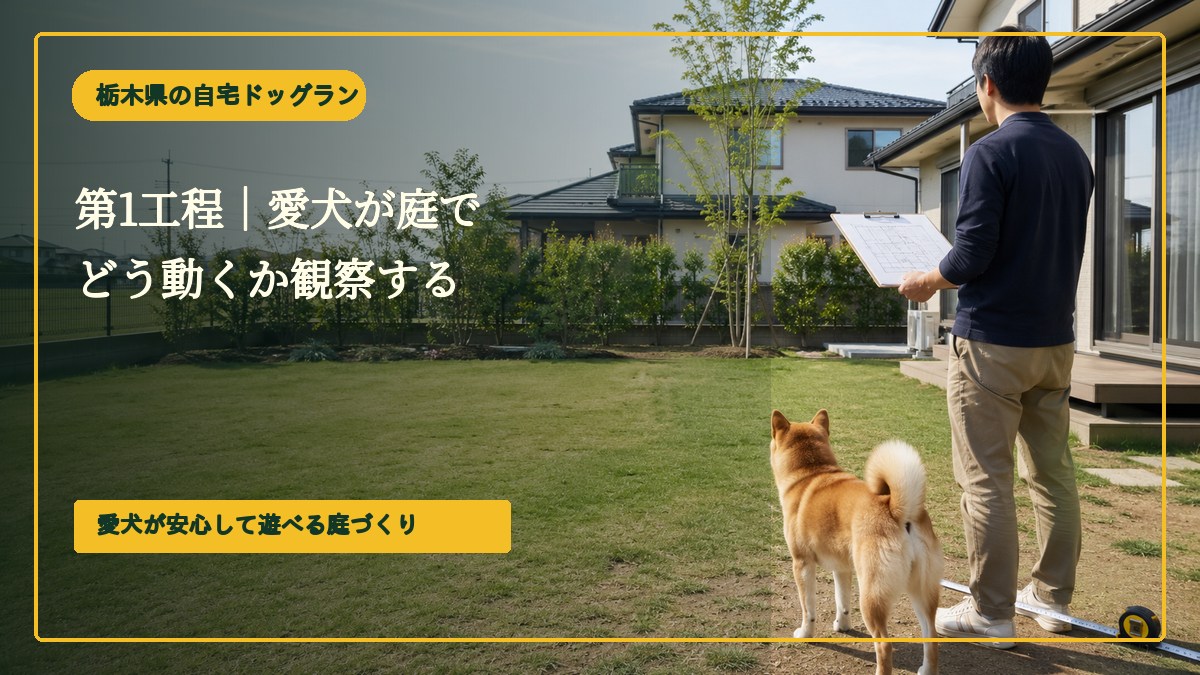 第1工程｜愛犬が庭でどう動くか観察する