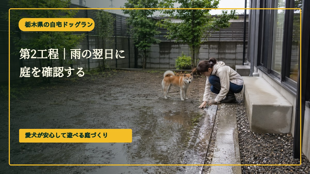 第2工程｜雨の翌日に庭を確認する
