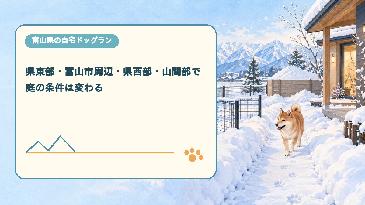 県東部・富山市周辺・県西部・山間部で 庭の条件は変わるを表現した可愛い富山県ドッグラン画像