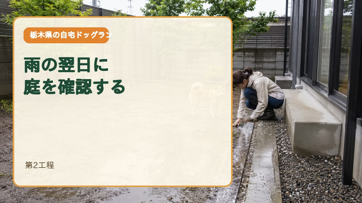 第2工程｜雨の翌日に庭を確認する