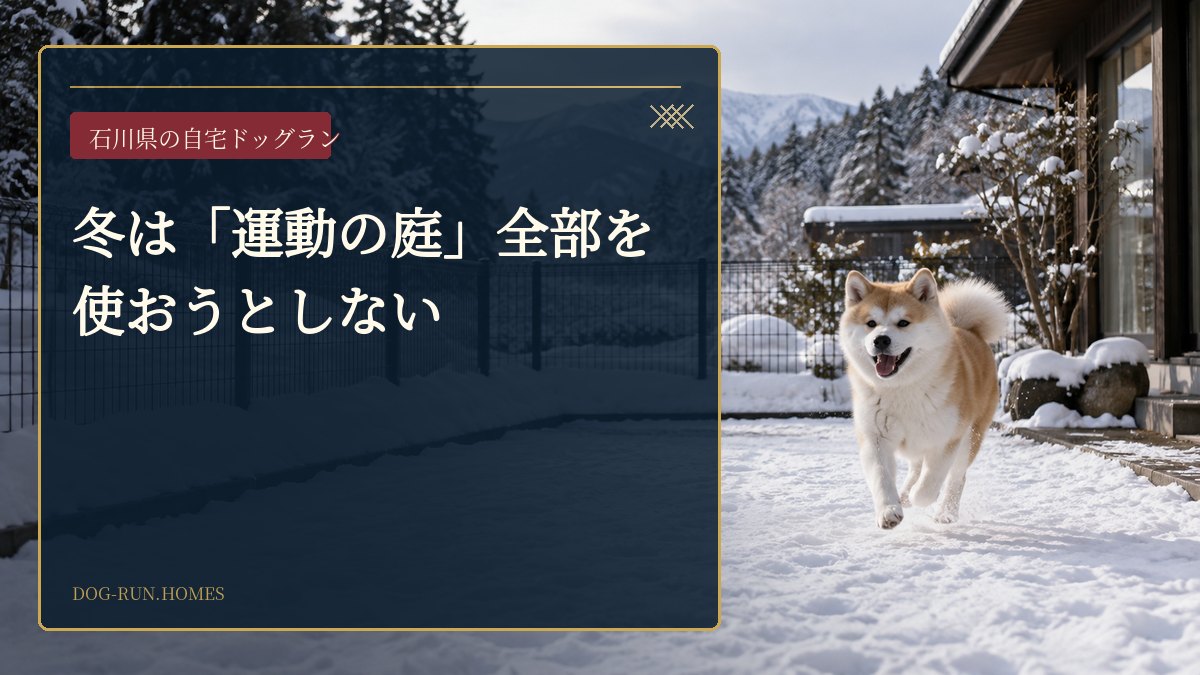 冬は「運動の庭」全部を使おうとしない