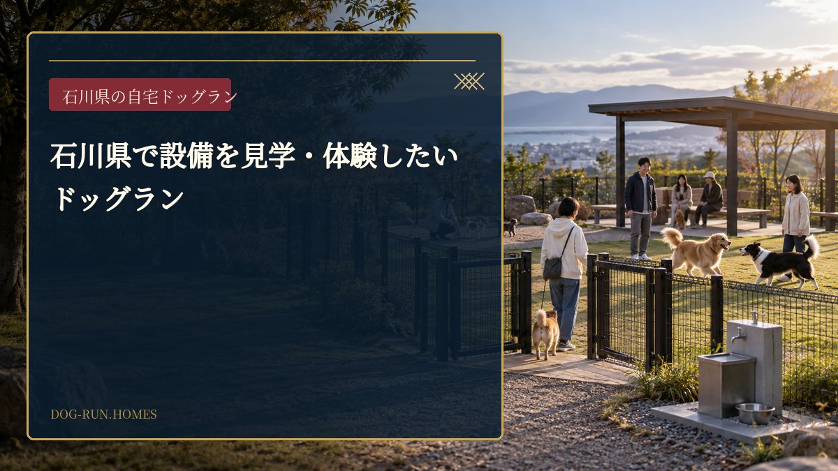 石川県で設備を見学・体験したいドッグラン