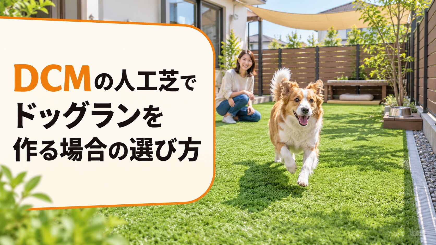 DCM人工芝で作るドッグラン