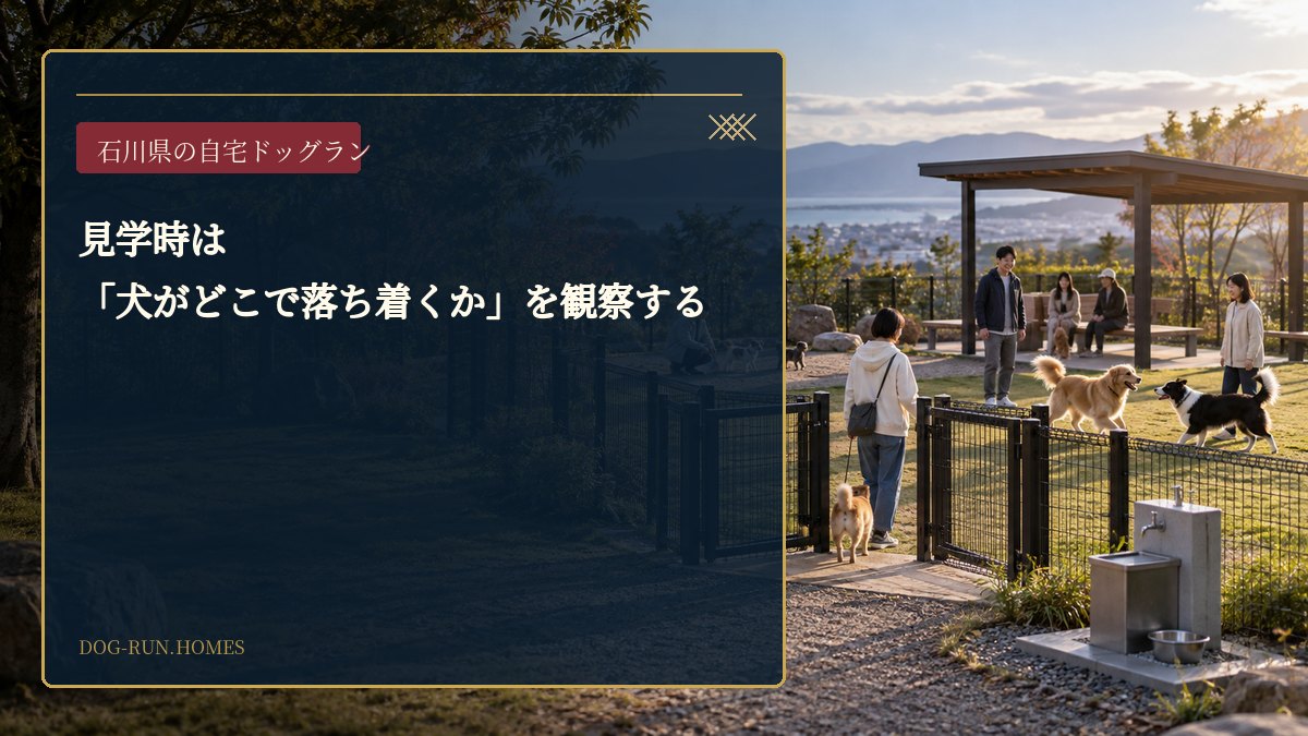 見学時は「犬がどこで落ち着くか」を観察する