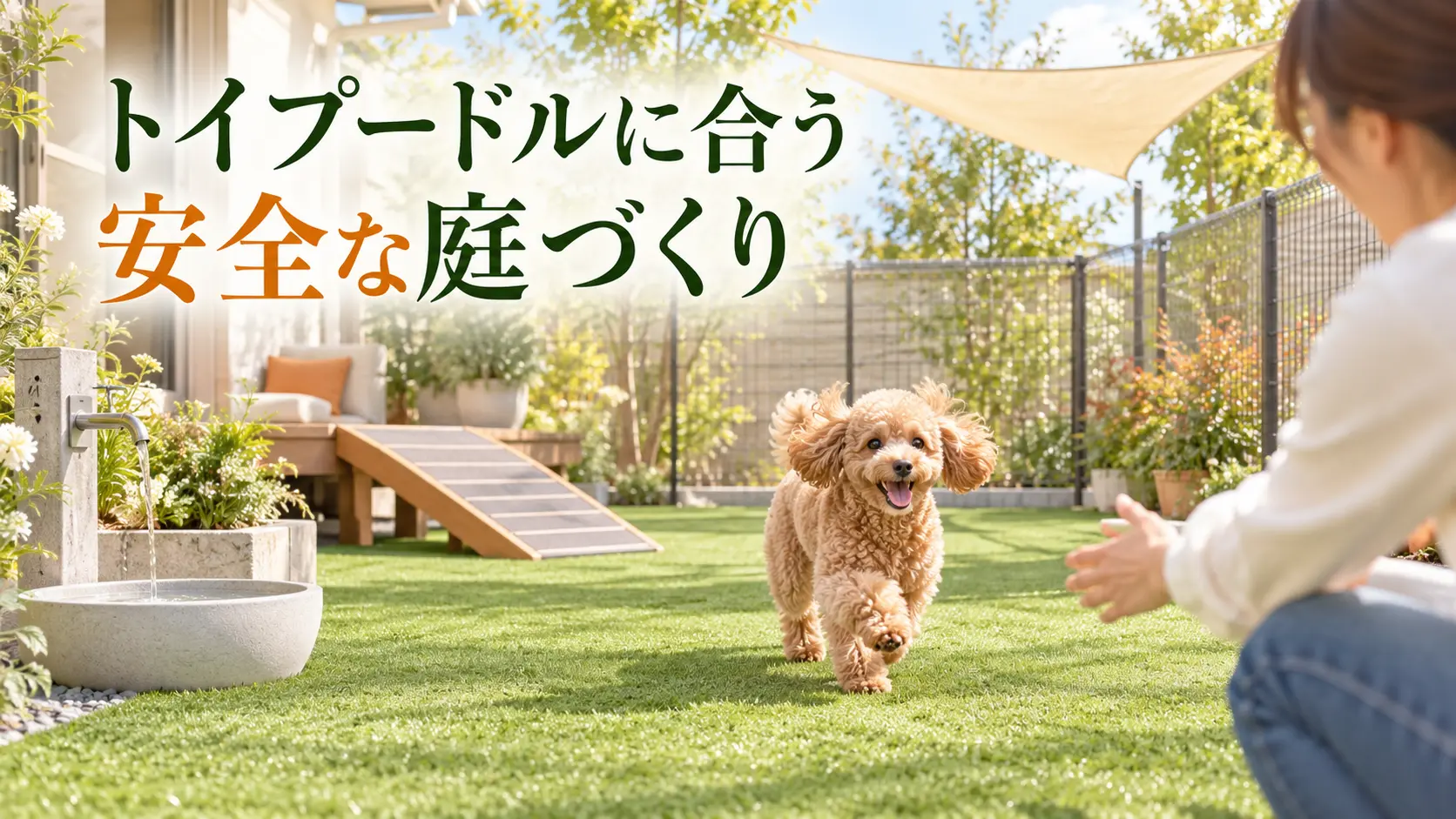 スロープと日陰のある庭で飼い主のもとへ走るトイプードル