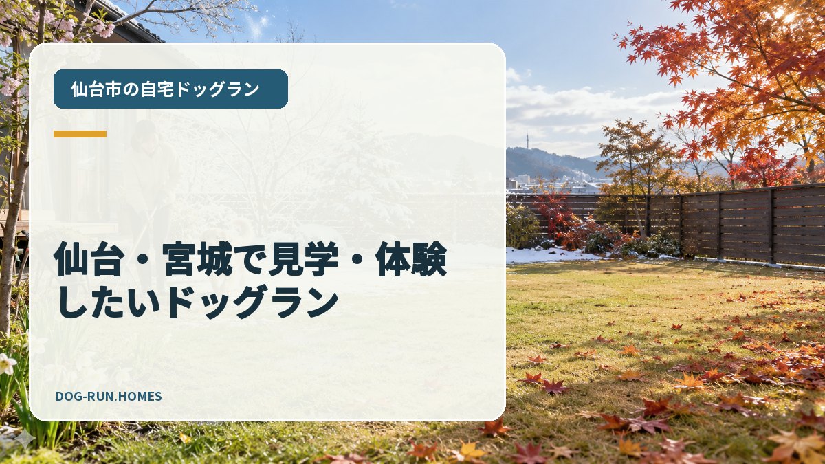 仙台・宮城で見学・体験したいドッグラン