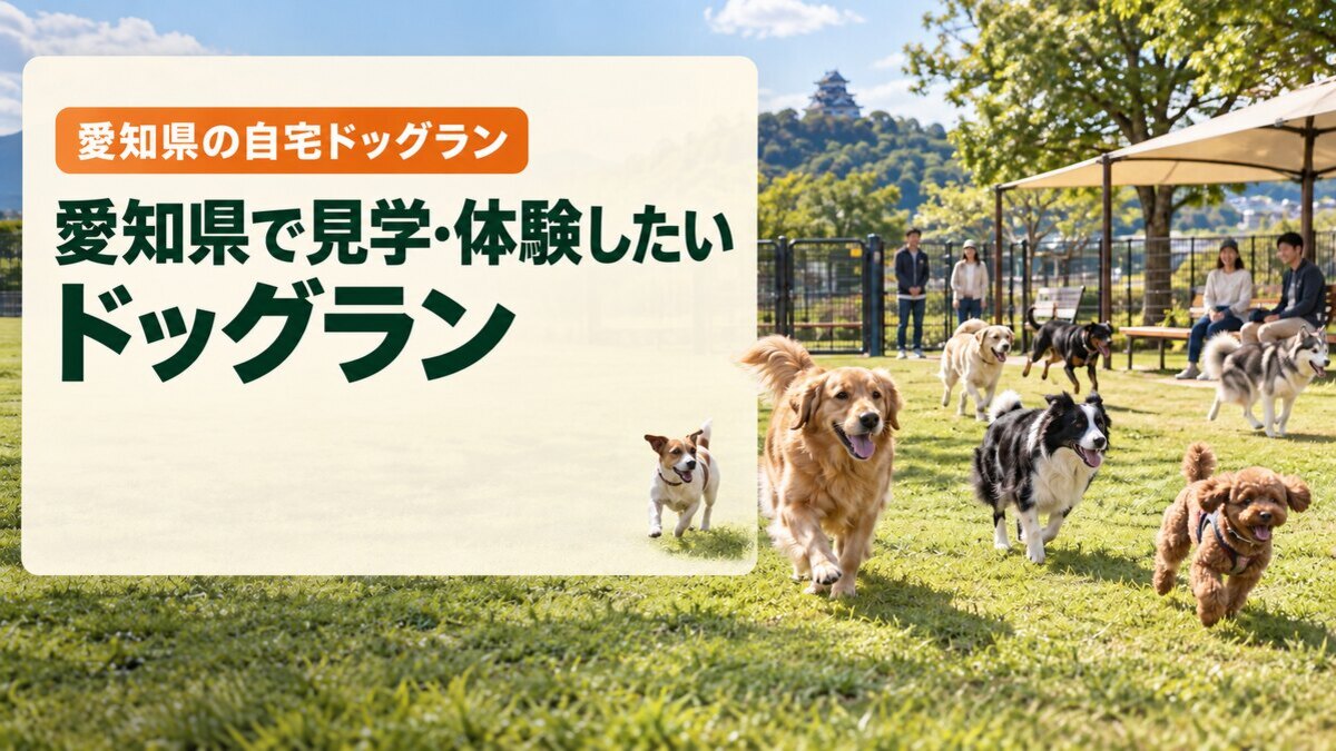 愛知県で見学・体験したいドッグラン