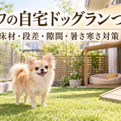 チワワの自宅ドッグランづくり｜床材・段差・フェンスの隙間・暑さ寒さ対策