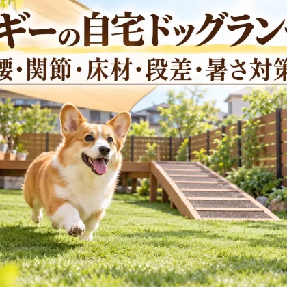 コーギーの自宅ドッグランづくり｜腰・関節に配慮した床材・段差・暑さ対策