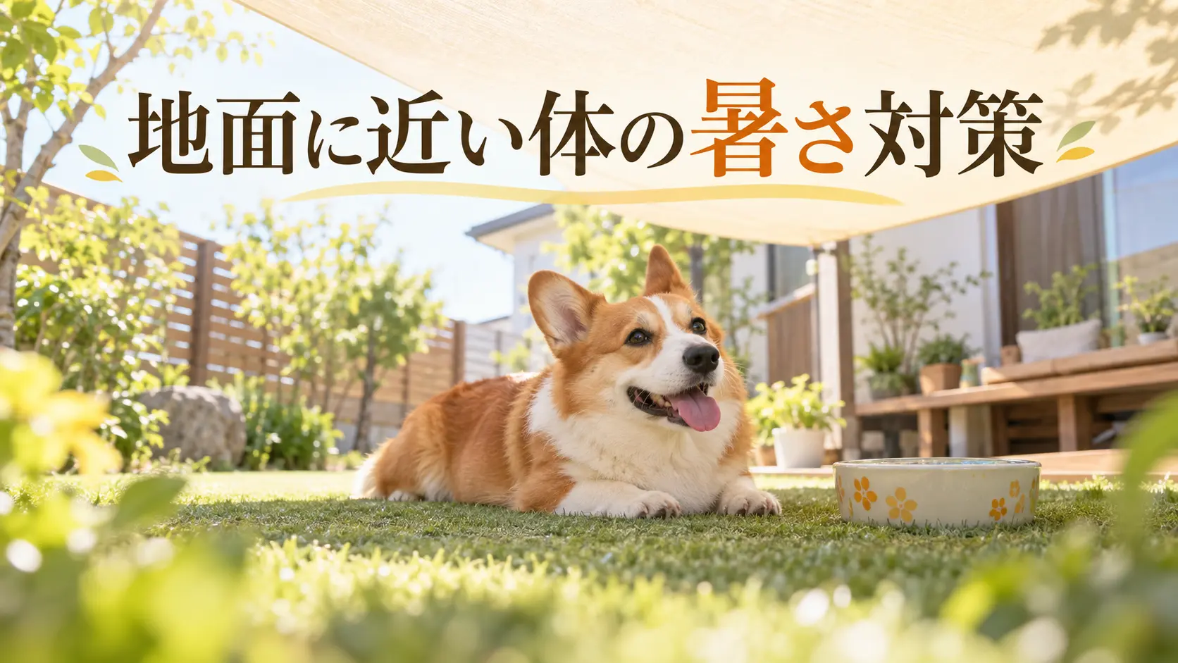 シェードの日陰で休むコーギー