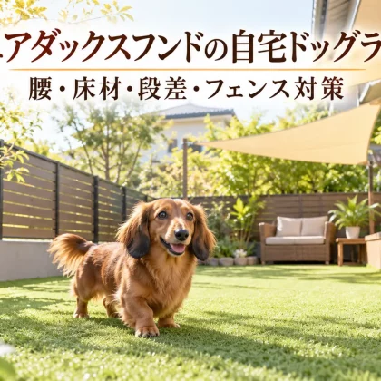 ミニチュアダックスフンドの自宅ドッグランづくり｜腰に配慮した床材・段差・フェンス対策