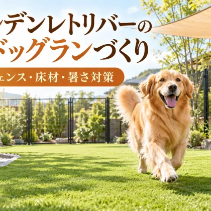 ゴールデンレトリバーの自宅ドッグランづくり｜必要な広さ・フェンス・床材・暑さ対策