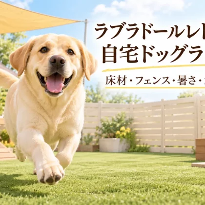 ラブラドールレトリバーの自宅ドッグランづくり｜大型犬の床材・フェンス・暑さ・水遊び対策