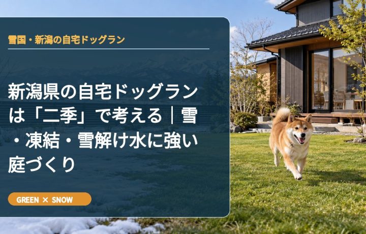 新潟県の自宅ドッグランは「二季」で考える｜雪・凍結・雪解け水に強い庭づくり