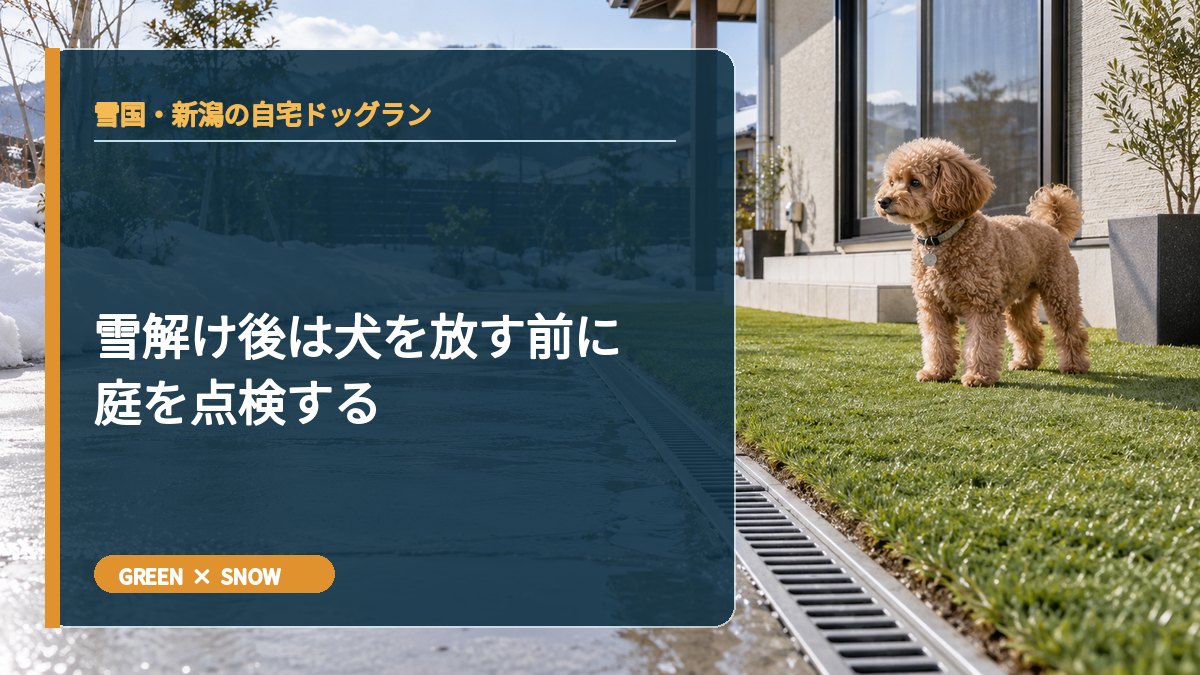 雪解け後は犬を放す前に庭を点検する
