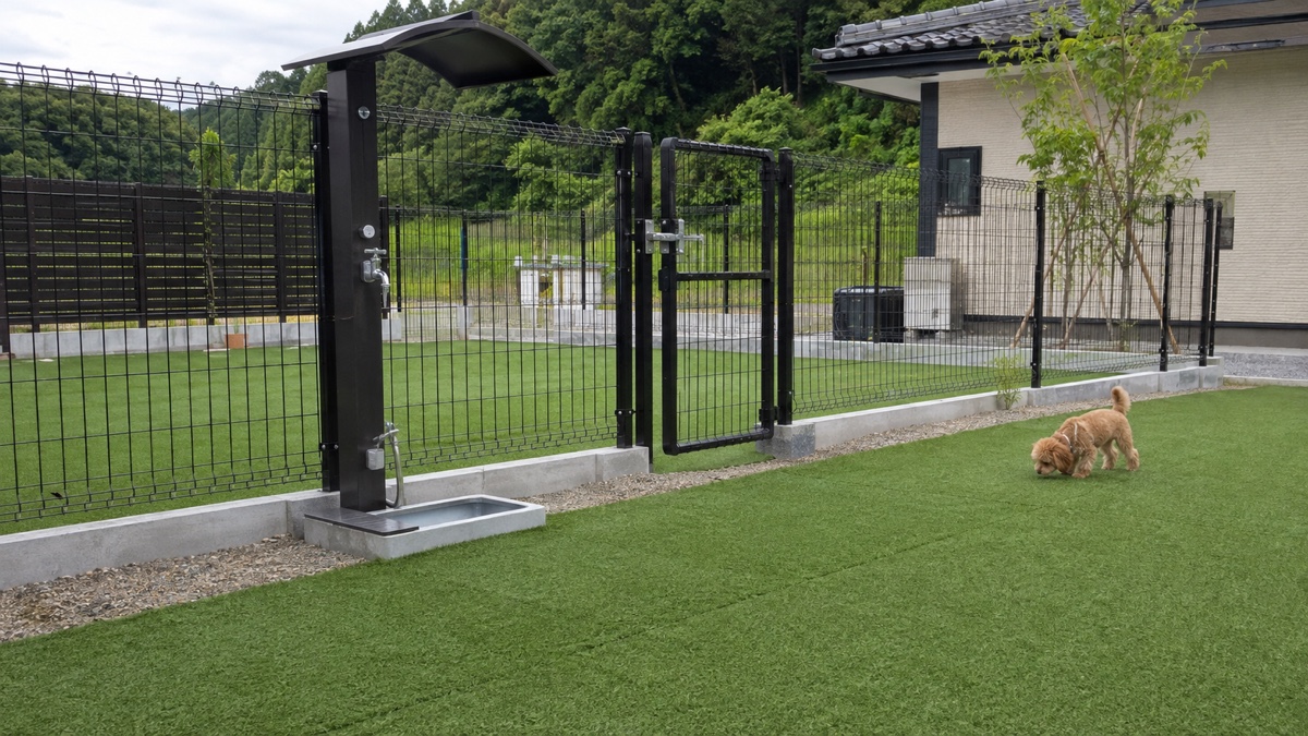 人工芝・フェンス・門扉・排水を備えた静岡県の施工済みドッグラン