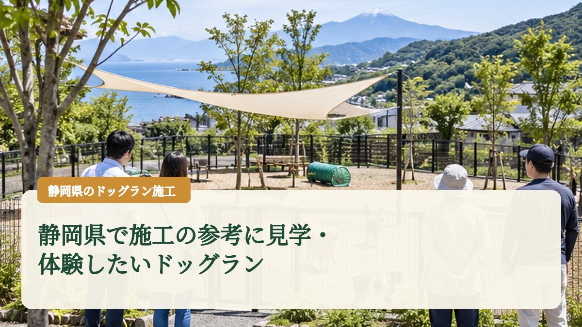 静岡県で施工の参考に見学・体験したいドッグラン