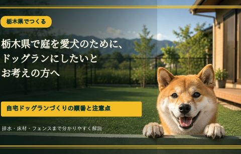 栃木県の庭を愛犬の運動場へ｜自宅ドッグランづくりの順番と注意点